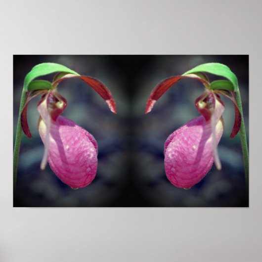 Roze Dame Slipper Orchidee Flower Mirror Abstract Poster (Voorkant)