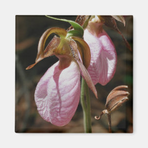 Roze Dame Slippers Flower Photography Magnet Magneet