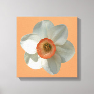 Roze deaffodilentestbloem canvas afdruk