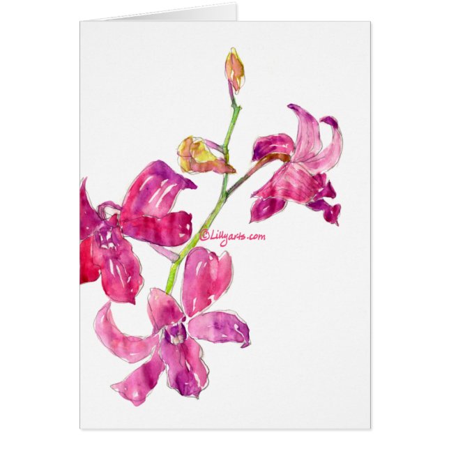Roze Dendrobium Orchids Waterverf Kaart (Voorkant)