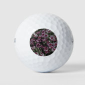 ROZE DIANTHUS BLOEMEN GOLFBALLEN (Voorkant)