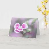 Roze Dianthus Flower Note Kaart (Gele Bloem)