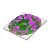 Roze dianthus Flower Tile Tegeltje (Zijkant)