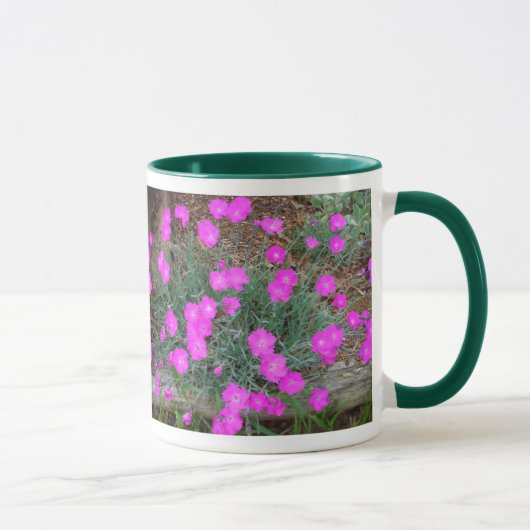 Roze Dianthus mok (Rechts)