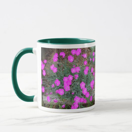 Roze Dianthus mok (Links)