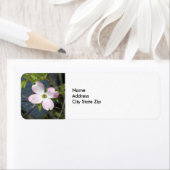 Roze Dogwood 1483 Etiket (Insitu)