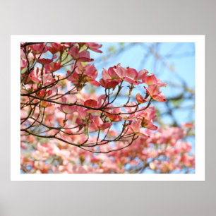 Roze Dogwood Bomen Bloemen kunstprint botanisch Poster