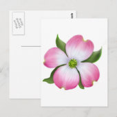 Roze Dogwood Flower Briefkaart (Voorkant / Achterkant)