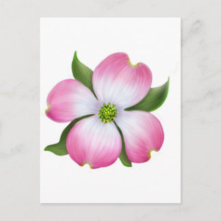 Roze Dogwood Flower Briefkaart