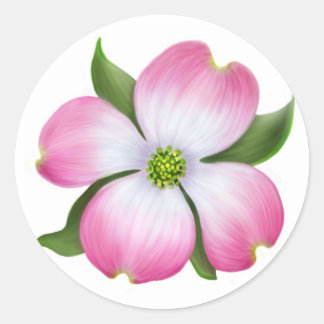 Roze Dogwood Flower Ronde Sticker