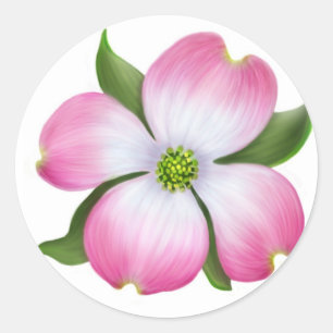 Roze Dogwood Flower Ronde Sticker