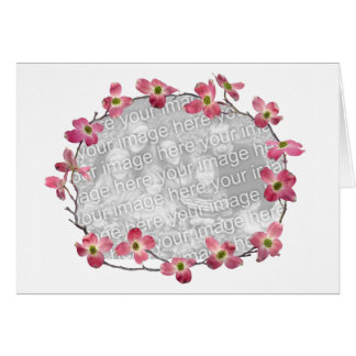 Roze Dogwood Flowers