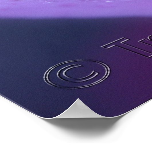 Roze Dream Poster (Hoek)