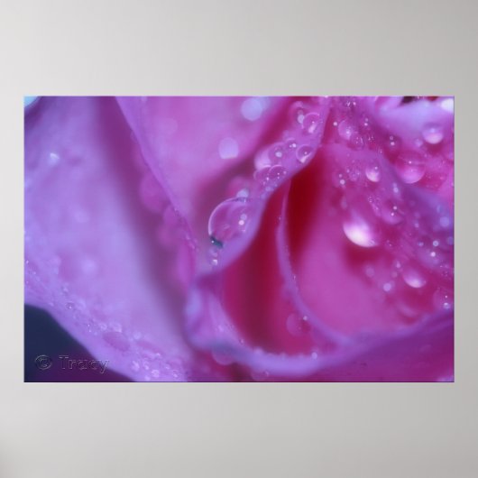 Roze Dream Poster (Voorkant)