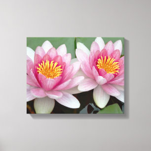 Roze Drijvende Waterlelie Lotus Canvas Print