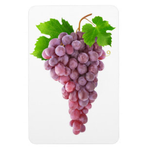 Roze druiven magneet