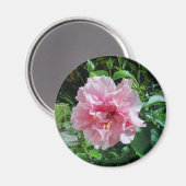 Roze Dubbele Hibiscusmagneet Magneet (Voorkant / Achterkant)