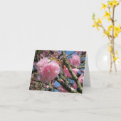 Roze Dubbele Kersenbloesems Kaart (Gele Bloem)