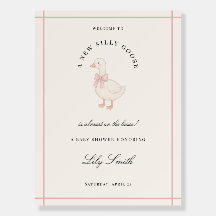 Roze Dwaas Ganz Baby Shower Welkom