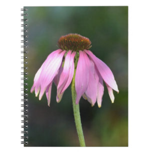 Roze Echinacea Bloem Fotografie Notitieboek