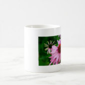 roze echinacea mok (Center)