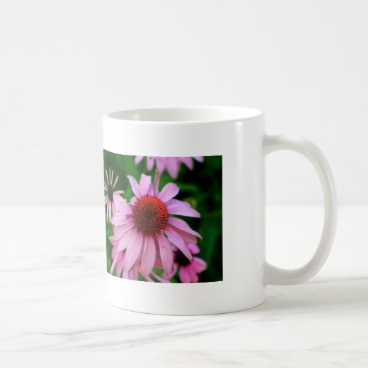 roze echinacea mok (Rechts)