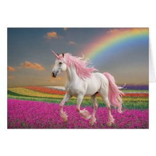 Roze Eenhoorn In Regenboog Veld