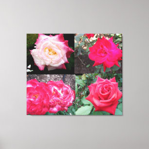 ROZE ELEGANT ROOS CANVAS PRINT