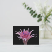 Roze en blauwe Aechmea ACEO Visitekaartje (Staand voorkant)