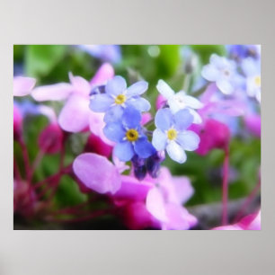 Roze en blauwe lentbloemen poster