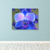 Roze en Blauwe Orchidee Canvas Afdruk (Insitu (Houten vloer))