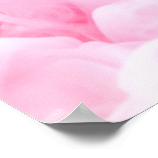Roze en Blauwe Rook Baby Gender onthullen Welkom Poster (Hoek)