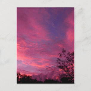 Roze en Blue Sunset Sunrise Sky Skies Foto Briefkaart