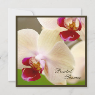 Roze en Cream Orchid Vrijgezellenfeest Square Kaart