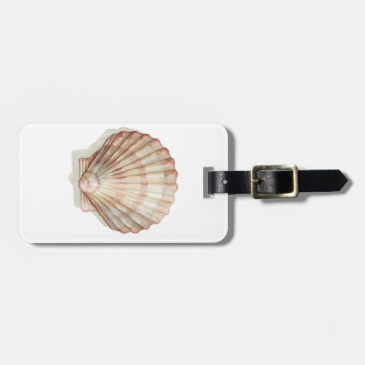 Roze en Cream Seashell Bagagelabel (Voorkant horizontaal)