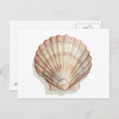 Roze en Cream Seashell Briefkaart (Voorkant / Achterkant)