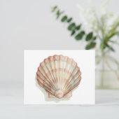 Roze en Cream Seashell Briefkaart (Staand voorkant)