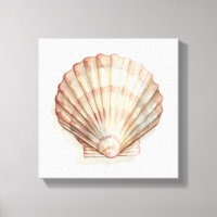 Roze en Cream Seashell