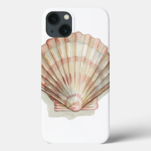 Roze en Cream Seashell iPhone 13 Hoesje