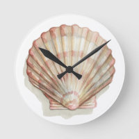 Roze en Cream Seashell