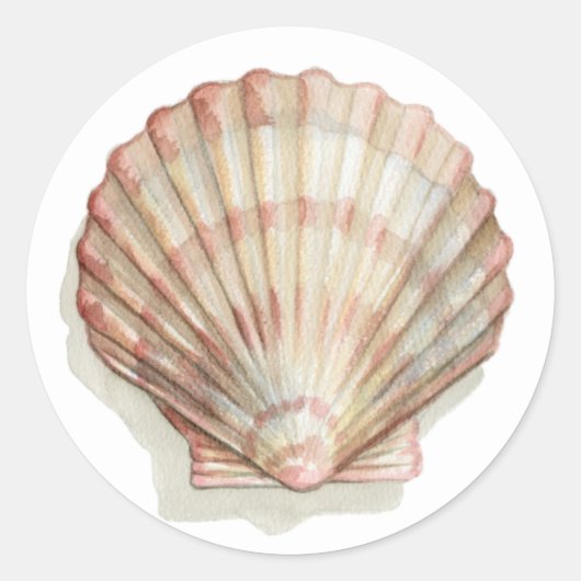 Roze en Cream Seashell Ronde Sticker (Voorkant)