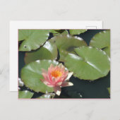 Roze en geel Briefkaart (Voorkant / Achterkant)