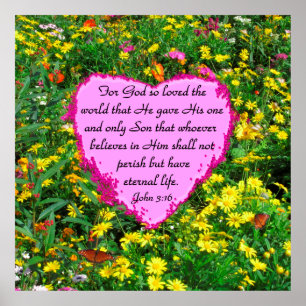 ROZE EN GEEL JOHN 3:16 BLOEMFOTO POSTER