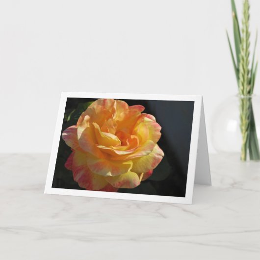 Roze en Gele Bloem Roos Kaart (Voorkant)