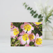 Roze en gele bloemen briefkaart (Staand voorkant)