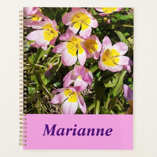 Roze en gele bloemen planner (Voorkant)