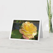 Roze en Gele Bloemige Roos Kaart (Voorkant)