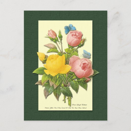 Roze en gele botanische Rozen Blank Briefkaart (Voorkant)
