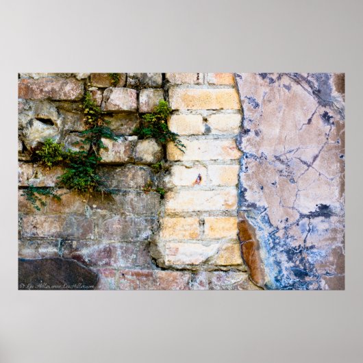 Roze en gele Brick Wall HDR Poster (Voorkant)