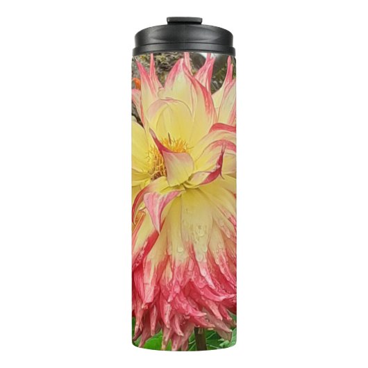 Roze en gele Dahlia Thermosbeker (Voorkant)